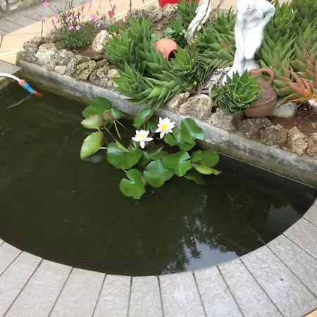 Villasoledad Per Vacanze Apartamento *